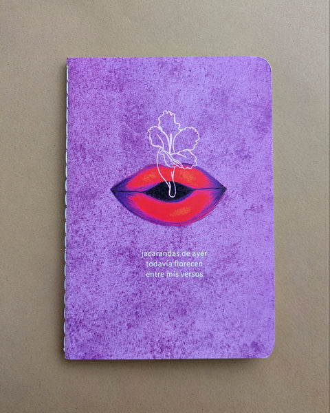 Libreta boca